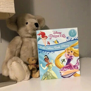 Disney Princess Set of  6 Golden Books